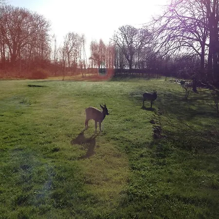 Bed & Breakfast Holmegaarden B&b-k Bro (Aeroe)