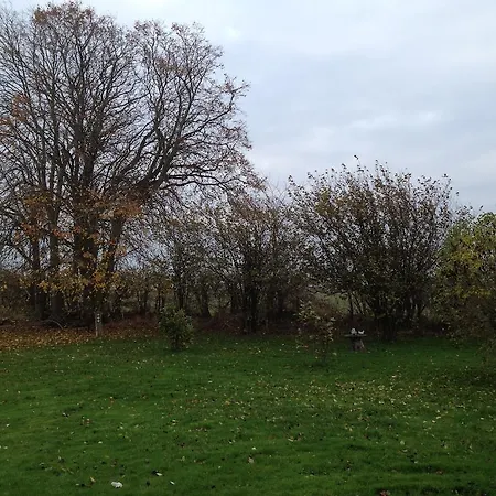 Bed & Breakfast Holmegaarden B&b-k 3*