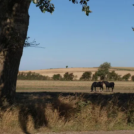 Bed & Breakfast Holmegaarden B&b-k