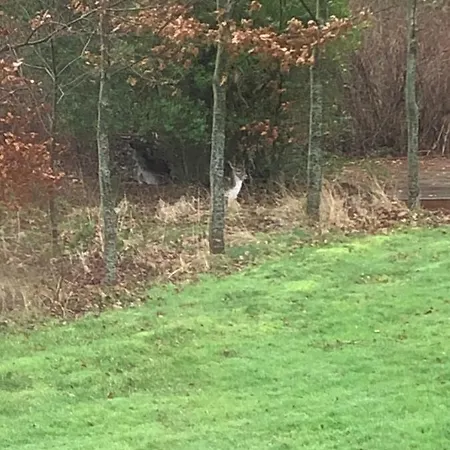 Holmegaarden B&b-k 3*