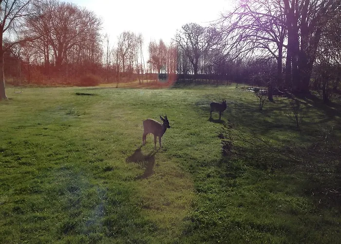 Bed & Breakfast Holmegaarden B & B-k Bro (Aeroe)