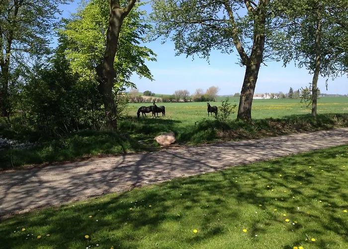 Holmegaarden B & B-k