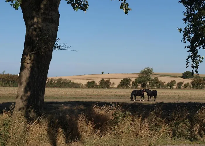 Bed & Breakfast Holmegaarden B & B-k