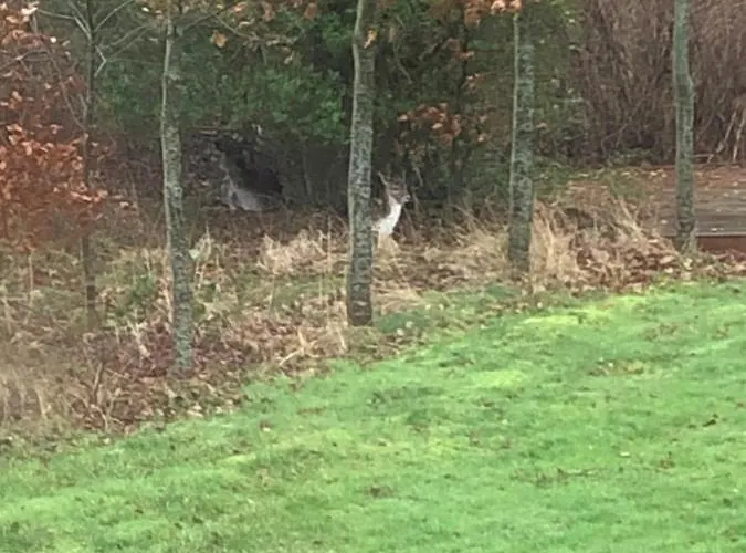 Holmegaarden B & B-k 3*